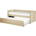 Produktbild: Ausziehbett Samtstoff Troyes 90 X 200 Cm Beige
