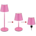 Produktbild: Außenleuchte Tischlampe Akku Tischleuchte Touchdimmer Flaschenaufsatz CCT, pink, USB-C, LED 3W 200Lm warm-kaltweiß, DxH 11,5x36 cm