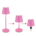 Produktbild: Außenleuchte Tischlampe Akku Tischleuchte Touchdimmer Flaschenaufsatz CCT, pink, USB-C, LED 3W 200Lm warm-kaltweiß, DxH 11,5x36 cm