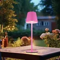 Produktbild: Flaschenaufsatz Tischlampe Außenleuchte LED pink opal Touchdimmer Akku CCT USB