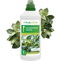 Produktbild: Purgrün Philodendron Dünger, NPK 10+4+6, für Blätter, 1L
