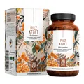 Produktbild: Pilz Komplex Vitamin B2 Chaga Vitalpilze Shiitake Extrakt Pilzkraft NATURTREU®