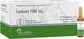 Produktbild: Ledum HM Injekt Ampullen 50 St