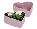 Produktbild: matches21 HOME & HOBBY Blumentopf Herz Pflanzschalen für draussen Dekoschalen rosa-rot 2x 22 cm (2 St), Blumen-Schale als wetterfeste Friedhof-Schale Grab-Schmuck Grabschale
