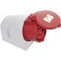 Produktbild: REV  0510620555 CEE Wandsteckdose 32 A 5polig 400 V 1 St.