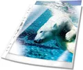 Produktbild: 50 Durable Prospekthüllen A4 (Klarsichtfolien Premium, 0,08mm) 267719 glasklar