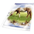 Produktbild: Durable Prospekthülle 2677 DIN A4 Polypropylen 0.08 mm Glasklar 267719 50 St.