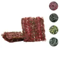 Produktbild: Mendler Wandfliese HWC-L78, Sichtschutz Windschutz Verkleidung für Terrasse/Balkon, 4x je 50x50cm = 1m˛ ~ Va 117648