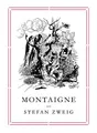 Produktbild: Stefan Zweig Montaigne (Taschenbuch) Pushkin Collection