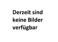 Produktbild: LEGO® Creator - Cute Hamster with a Flower - #31376 - Neu & OVP