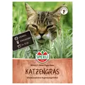 Produktbild: Sperli Saatgut Katzengras Mini-Tiger-Gras