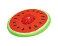 Produktbild: Beeztees Wasserspielzeug Hundespielzeug Melone Spikie rot