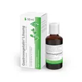 Produktbild: Gastrovegetalin Lösung 50 ml