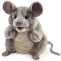 Produktbild: Folkmanis Graue Maus (46118802)