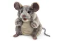 Produktbild: Folkmanis Handpuppen Handpuppe Folkmanis Handpuppe Graue Maus / Grey Mouse 3202 (Packung)