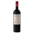 Produktbild: Doppio Passo Primitivo Puglia Rot, trocken (1 x 0,75 l)