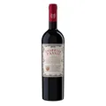 Produktbild: Doppio Passo Rotwein Primitivo Puglia halbtrocken Italien 1 x 0,75 L