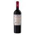 Produktbild: Doppio Passo Rotwein Primitivo Puglia halbtrocken Italien 1 x 0,75 L  Rotwein