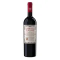 Produktbild: Doppio Passo Rotwein Primitivo Puglia halbtrocken Italien 1 x 0,75 L  Rotwein