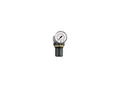 Produktbild: Riegler Druckregler »Standard-mini«, Schalttafelmutter, G 1/4, 0,1-3 bar (482.20 A)