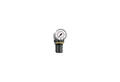 Produktbild: RIEGLER Riegler Druckregler »Standard-mini«, Schalttafelmutter, G 1/4, 0,1-3 b