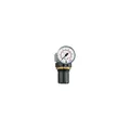 Produktbild: Riegler Druckregler »Standard-mini« Schalttafelmutter G 1/4 0,1-3 bar