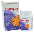 Produktbild: Cordyceps Pulse – 20 Kapseln – Cordyceps sinensis Extrakt  - Blitzversand