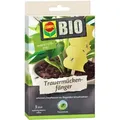 Produktbild: Compo BIO Trauermückenfänger 5 Stück.