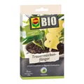Produktbild: Compo BIO Trauermückenfänger 5 Stück