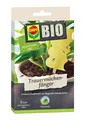 Produktbild: COMPO BIO Trauermückenfänger 5 Stück gegen Trauermücken