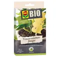 Produktbild: Compo Bio Trauermückenfänger 5 Stück