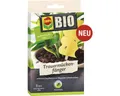 Produktbild: Gelbsticker gegen Pflanzenschädlinge COMPO BIO Trauermückenfänger 5 St. insektiz