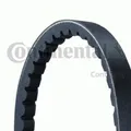 Produktbild: CONTITECH V-Belt AVX13X1150