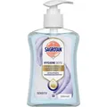 Produktbild: SAGROTAN Arztseife zur Handhygiene flüssig 250 ml PZN 13569032