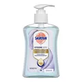 Produktbild: Sagrotan Arztseife zur Handhygiene flüssig · 250 ml · PZN 13569032