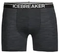 Produktbild: Icebreaker Anatomica Boxers jet heather - Größe XL 103029