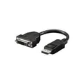 Produktbild: Wentronic Goobay - Display-Adapter - DisplayPort (M) bis DVI-D (W) - Schwarz (69873)