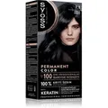 Produktbild: Syoss Permanent Color Permanent-Haarfarbe Farbton 1_1 Black 1 St.