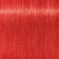 Produktbild: Schwarzkopf Igora Royal 0-88 Rot Konzentrat