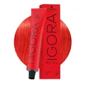 Produktbild: Schwarzkopf Igora Royal MIX 0-88 Rot Konzentrat 60ml – permanente Färbung