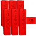 Produktbild: Schwarzkopf Igora Royal 6 x 60 ml 0-88 rot konzentrat Haarfarbe Cremefarbe Set