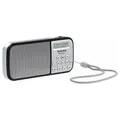 Produktbild: Technisat TechniRadio RDR silber