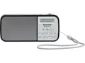 Produktbild: TechniSat TECHNIRADIO RDR Portable Radio - Silver - Zustand: Neu