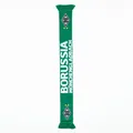 Produktbild: Borussia Mönchengladbach Fanschal grün