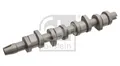 Produktbild: FEBI BILSTEIN Nockenwelle für AUDI SEAT SKODA VW