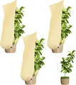 Produktbild: Sosayet 3 Stück Winterschutz Pflanzen 100x80cm Kübel Reißverschluss Zugband