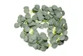 Produktbild: Kunstgirlande EUKALYPTUS, IDIMEX, Höhe 4 cm, Girlande mit künstlichen Eukalyptusblättern 193 cm lang Dekogirlande m