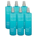 Produktbild: Revlon Equave Hydro Instant Detangling Conditioner 6 x 500 ml 2 Phasen Sprüh Con