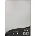 Produktbild: Pollen by Clairefontaine Papier DIN A4, silber