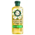 Produktbild: Herbal Essences Geschmeidig & Glänzend Shampoo mit Kamille 350ml. Von Stumpfem Haar zu Glänzendem Haar, Mit Kamillenextrakt, Vegan, Silikonfrei